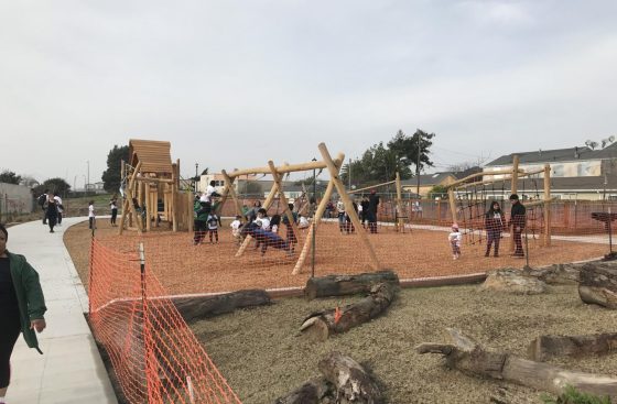 A group of people playing on swings in the sand.