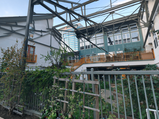 A building with many windows and plants growing on the side.