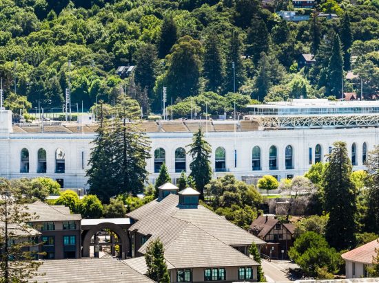 A view of some buildings and trees from above.