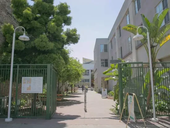 A sidewalk with green gates and trees in the background.